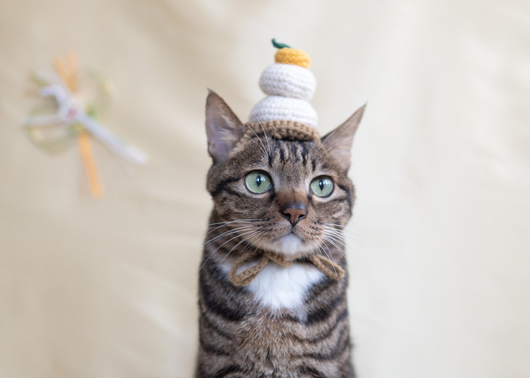 【新年系列】 宠物帽子 猫咪/狗狗 和风 — 镜饼 かがみもち - 衣/帽 - 其他材质 白色