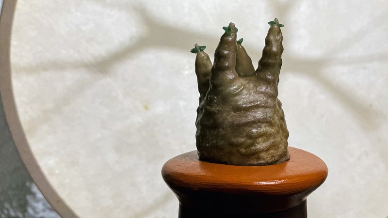 象牙宫 - 蜡烛/烛台 - 蜡 多色