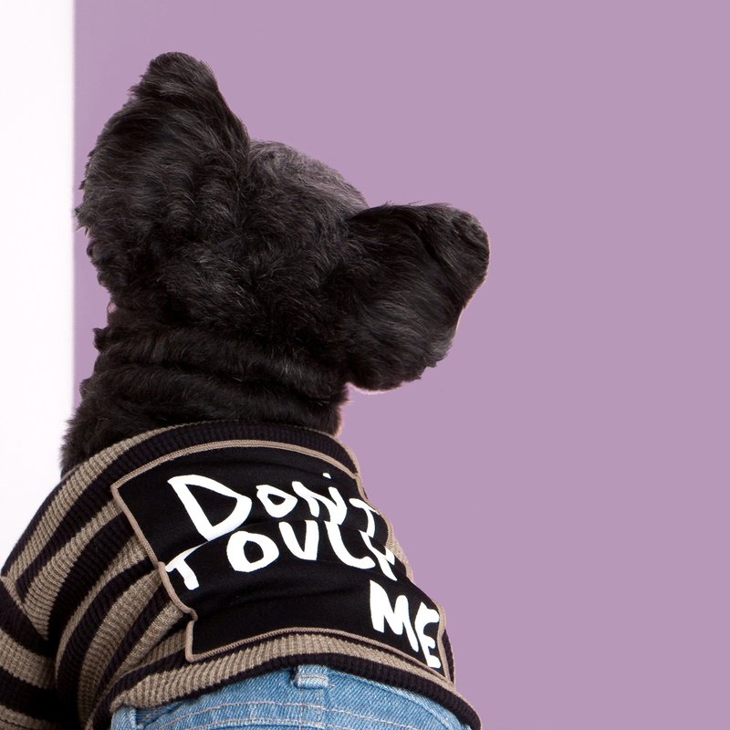 #bff 态度SloganT恤_咖黑条纹 - 衣/帽 - 棉．麻 咖啡色