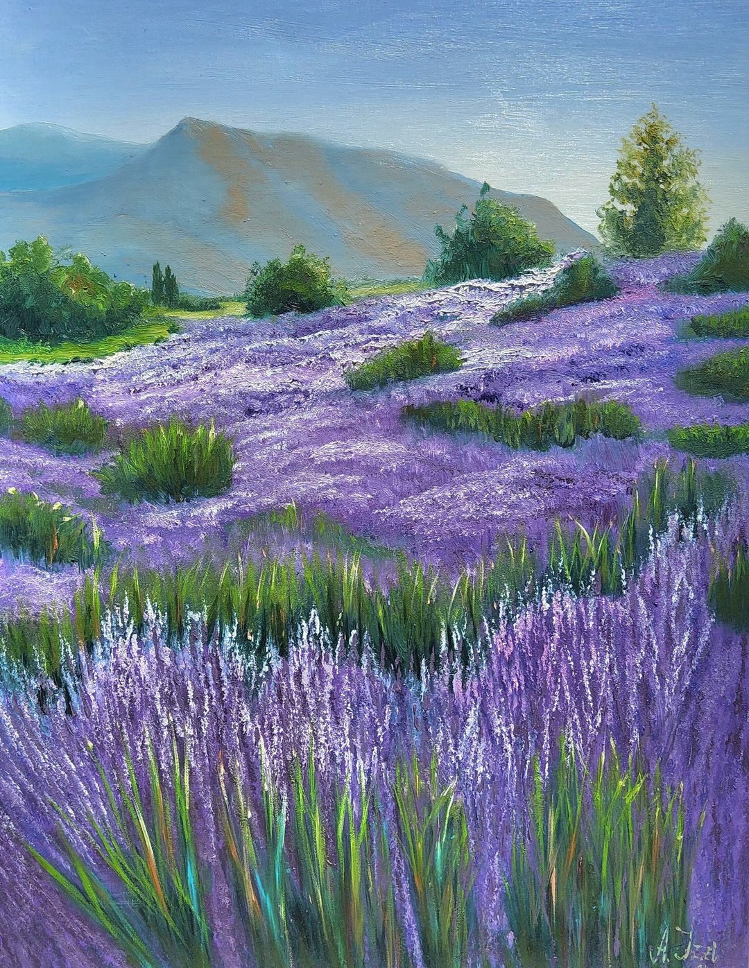 法国薰衣草绘画风景原创艺术山艺术品法国薰衣草 - 插画/绘画/写字 - 亚麻 