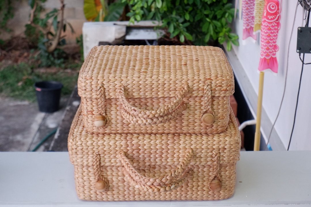 Travel bag Woven bag Water hyacinth woven bag - 行李箱/行李箱保护套 - 植物．花 