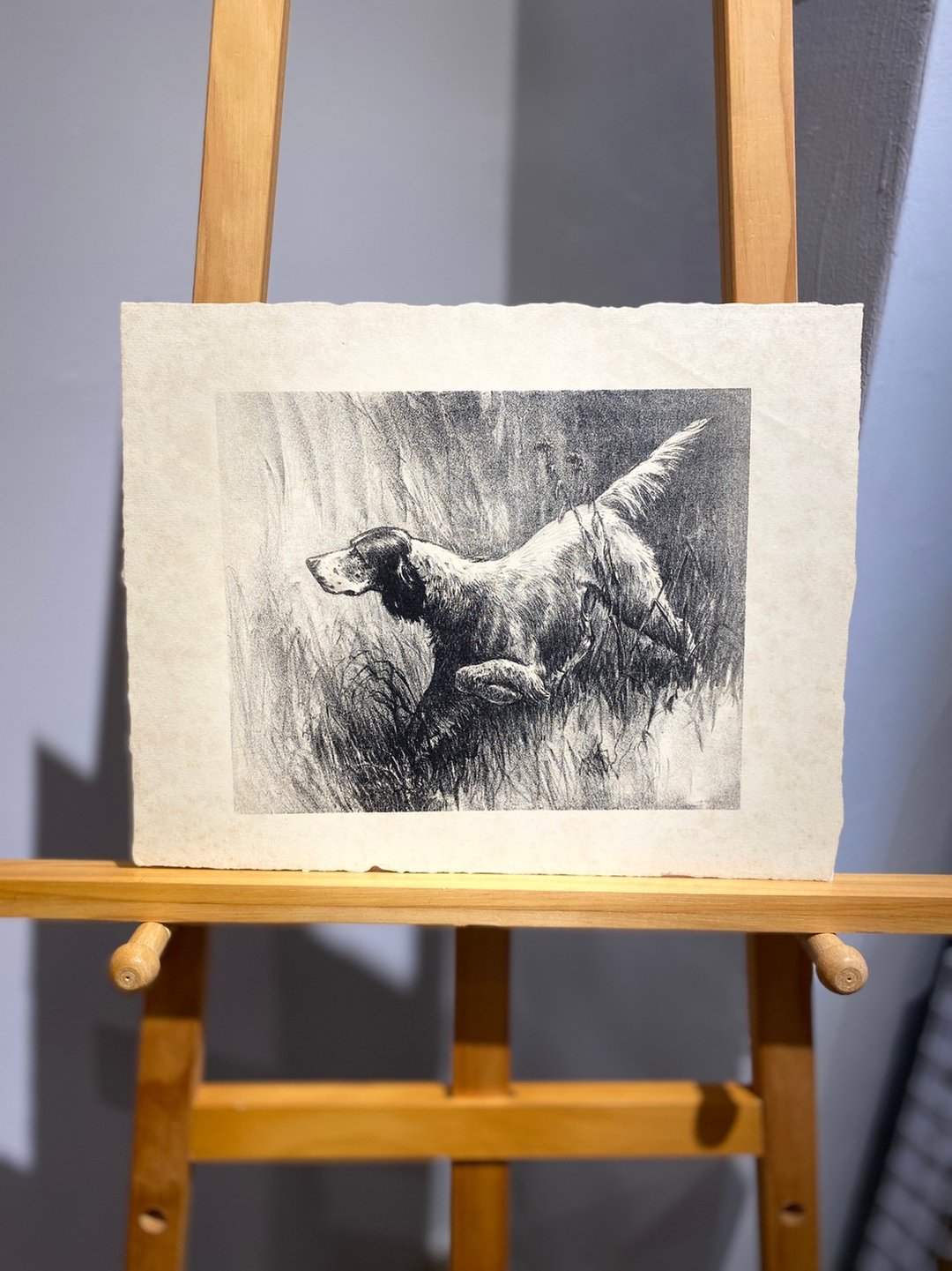 华盛顿DC艺术家Morgan Stinemetz-罗素梗犬-蚀刻版画-Etching - 海报/装饰画/版画 - 纸 白色