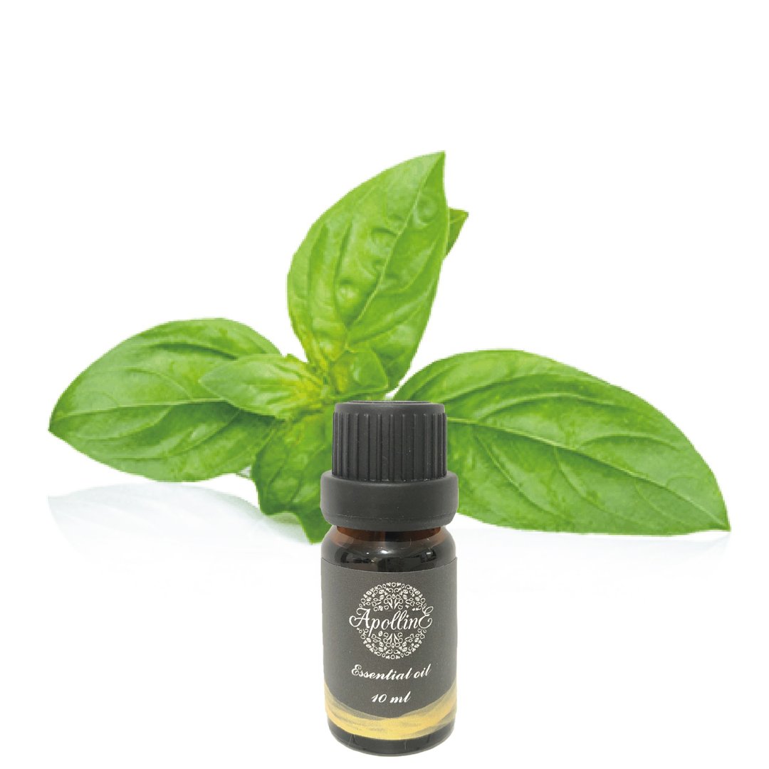 罗勒精油 BASIL - 香薰/精油/线香 - 精油 