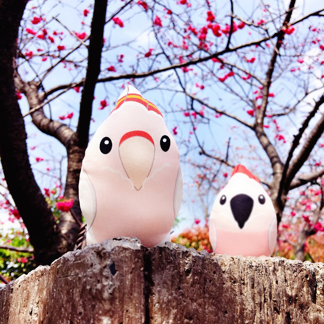 DIY手作鹦鹉 ∣ 车轮冠 Cockatiel · 纸镇手作材料包 - 其他 - 其他材质 粉红色