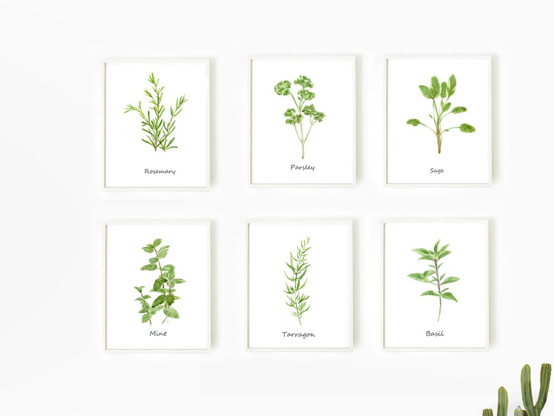 餐厅挂画-北欧-香草-空间挂画-居家情景挂画-复制画6件组-咖啡厅 - 海报/装饰画/版画 - 纸 