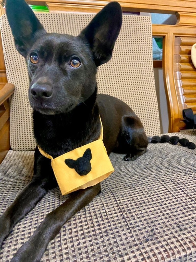 定制杯套-米克斯小黑狗 - 编织/刺绣/羊毛毡/裁缝 - 羊毛 