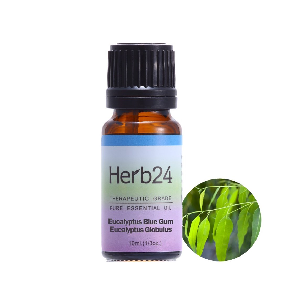 蓝胶尤加利 纯质精油10ml - 香薰/精油/线香 - 精油 