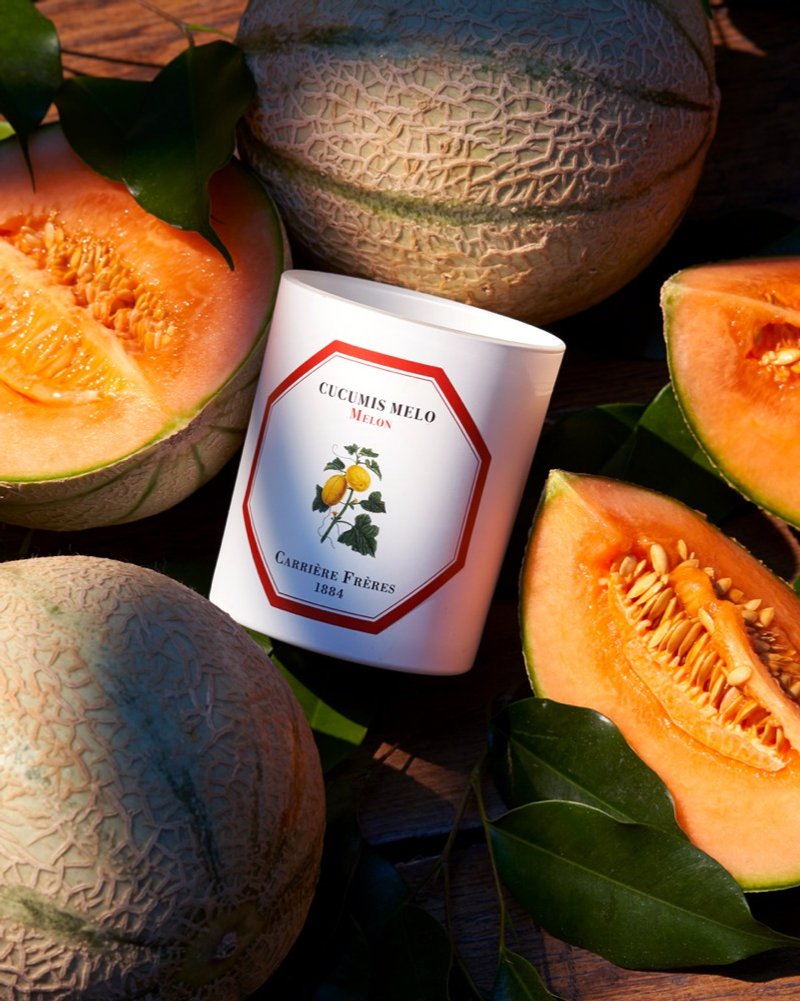 Carrière Frères 哈密瓜香氛蜡烛 - 蜡烛/烛台 - 陶 白色