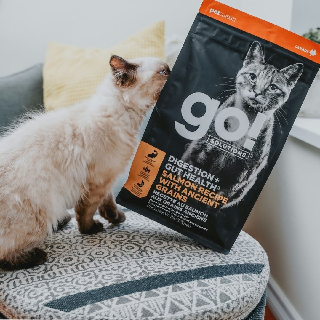 【猫主食】go! 鲑鱼全猫 肠胃保健系列 猫饲料 - 猫罐头/鲜食 - 新鲜食材 