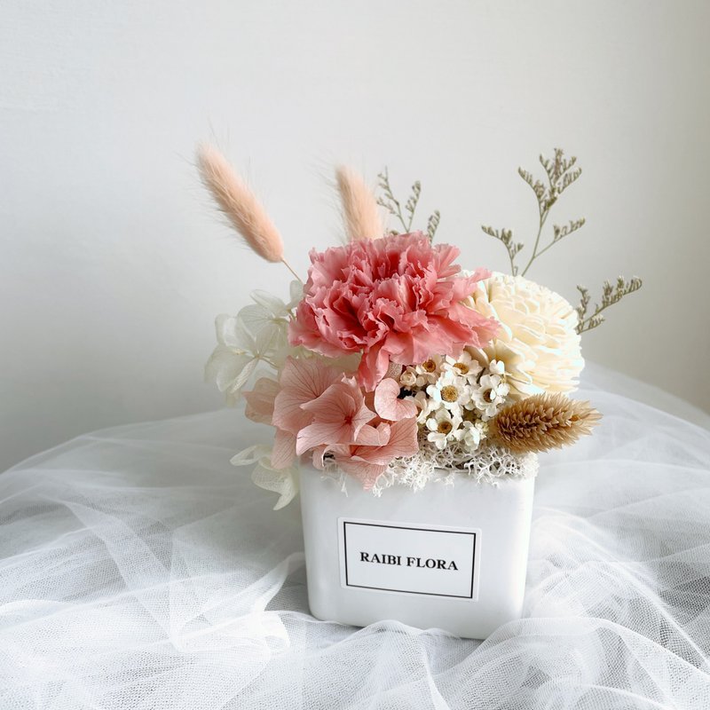 眼中的温柔 ; 母亲节永生康乃馨盆花 扩香花 干燥花盆花 - 干燥花/捧花 - 植物．花 