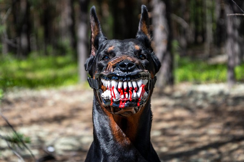 Werewolf Dog muzzle Scary Doberman muzzles Pet Gift Halloween Costume Dog Mask - 其他 - 塑料 