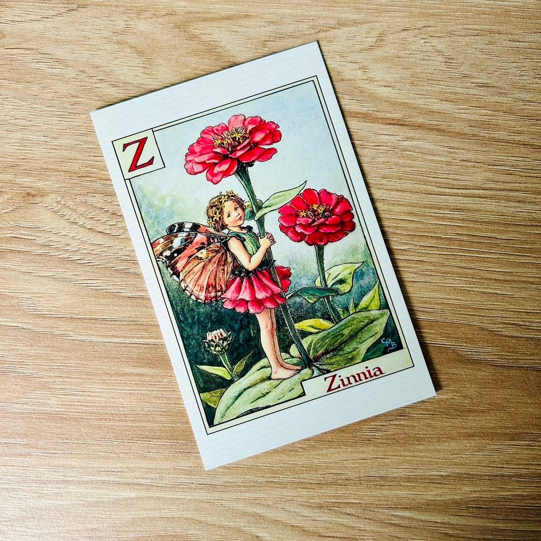 花仙子 字母系列 经典明信片 - Zinnia / 百日草 - 卡片/明信片 - 纸 