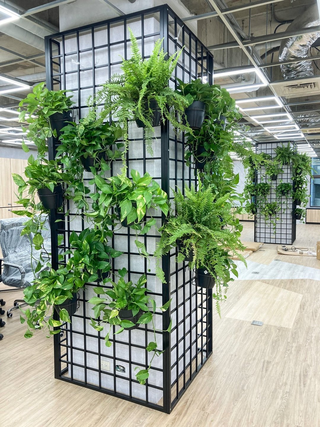 【办公空间绿化设计】大型办公室 | 垂直绿化设计 - 植栽/盆栽 - 植物．花 