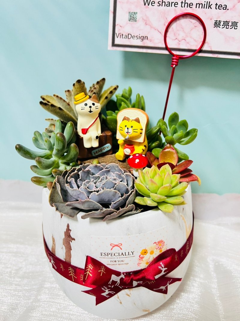 小品定制组盆 开幕志庆 新居落成 升官乔迁 婚礼生日礼 - 植栽/盆栽 - 水泥 白色