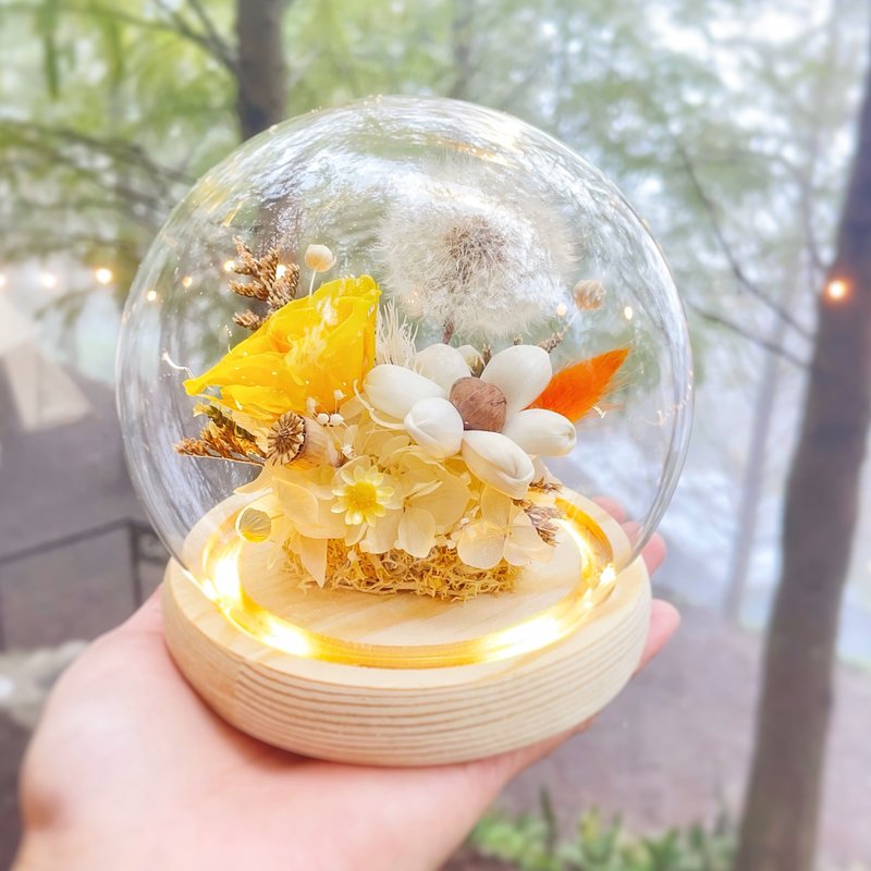 星愿之光 永生花 蒲公英花灯 玻璃罩灯饰 毕业礼物 生日惊喜 - 干燥花/捧花 - 植物．花 