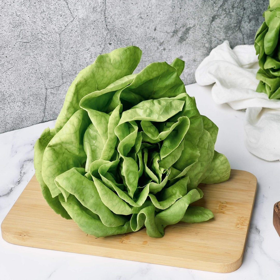 【绿十水耕生菜】绿奶油150g、生菜、沙拉、莴苣、水耕蔬菜 - 其他 - 新鲜食材 