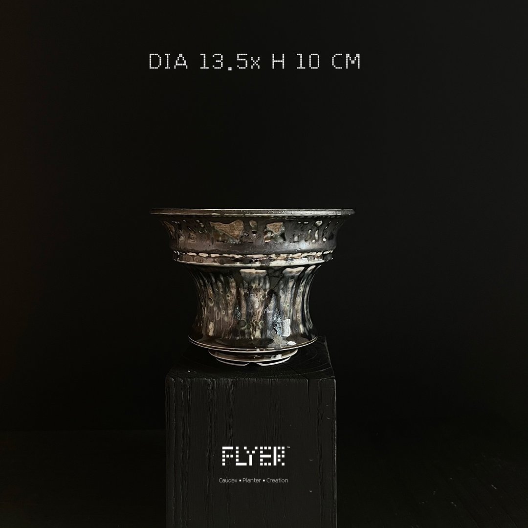 FLYER 块根多肉植物陶盆器 龙舌兰象牙宫象足漆树盆器 - 花瓶/陶器 - 陶 