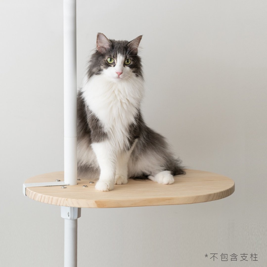 实木跳板 | 量身打造猫咪动线 - 抓板/跳台 - 木头 卡其色