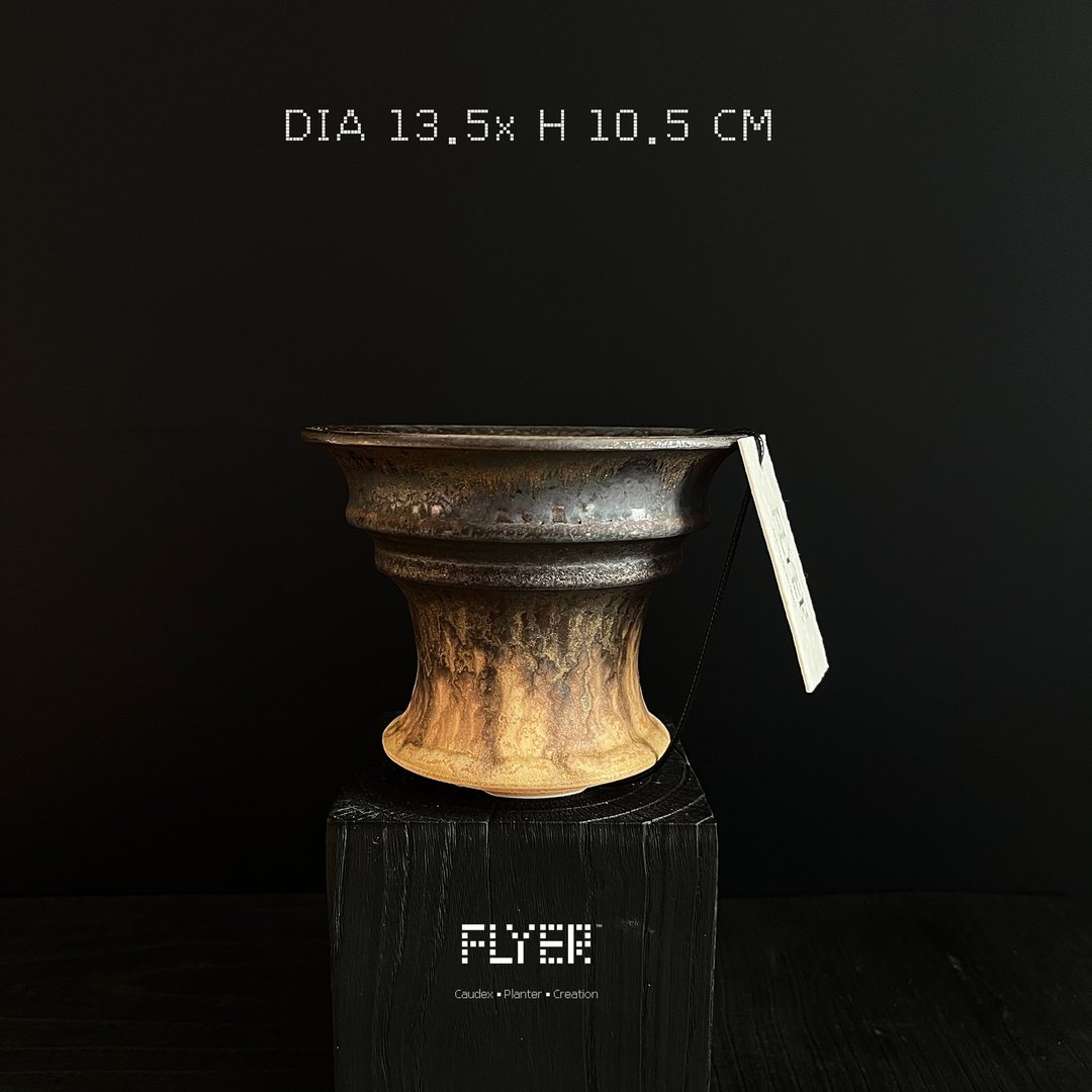 FLYER 块根多肉植物陶盆器 龙舌兰象牙宫象足漆树盆器 - 花瓶/陶器 - 陶 