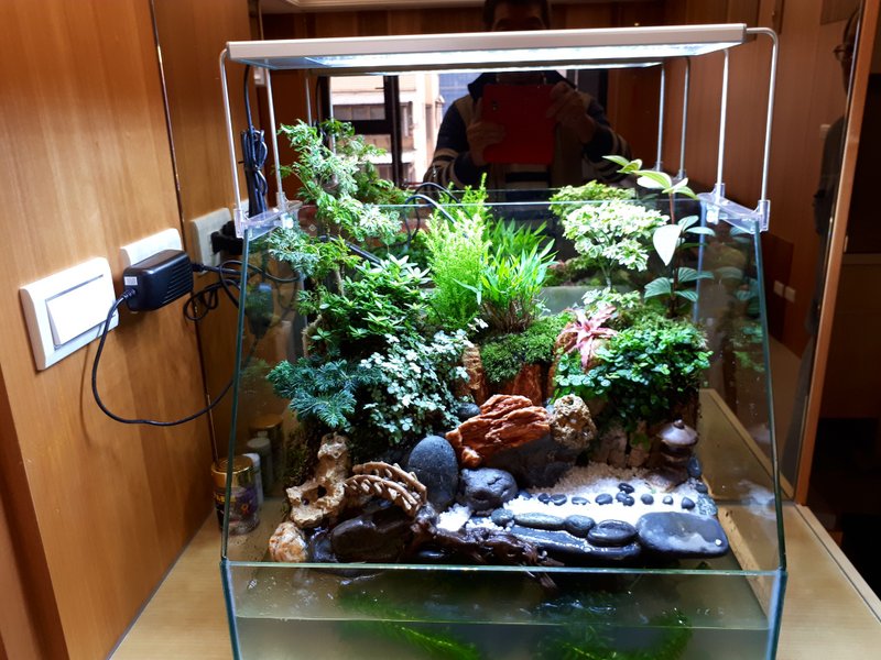 开运生态造景鱼缸AC-45海湾型 居家风水最耀眼的摆饰 - 植栽/盆栽 - 玻璃 