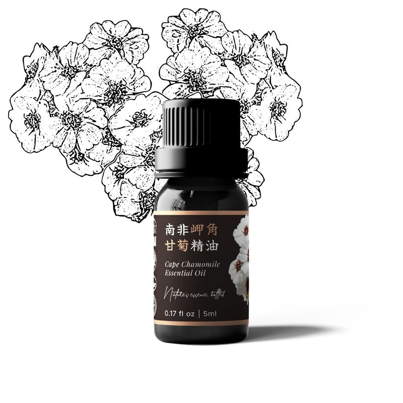 【卡佛香】南非岬角甘菊精油 - 香薰/精油/线香 - 玻璃 黑色
