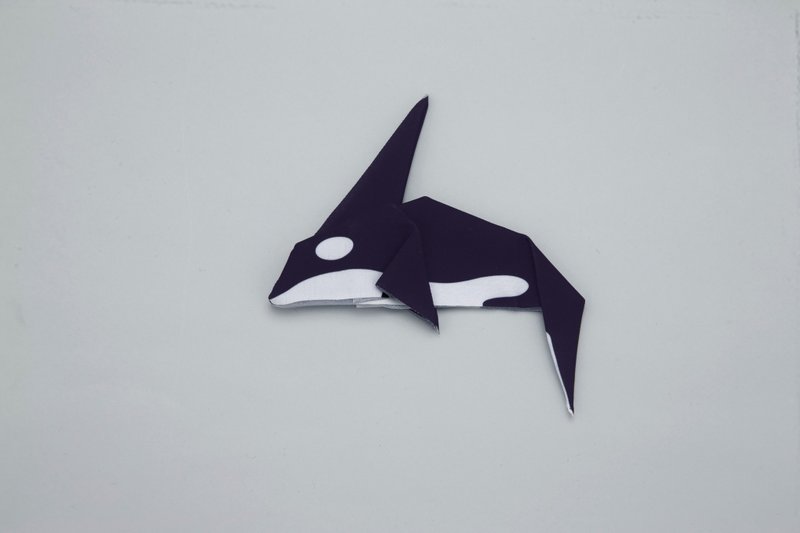 Peti Peto 形状记忆擦拭布 虎鲸 - 眼镜盒/眼镜布 - 聚酯纤维 黑色