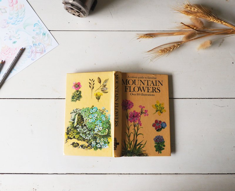 本书采下单后开始寻书/植物图鉴/插画图鉴/旧书/老书/古书/花艺// - 刊物/书籍 - 纸 橘色