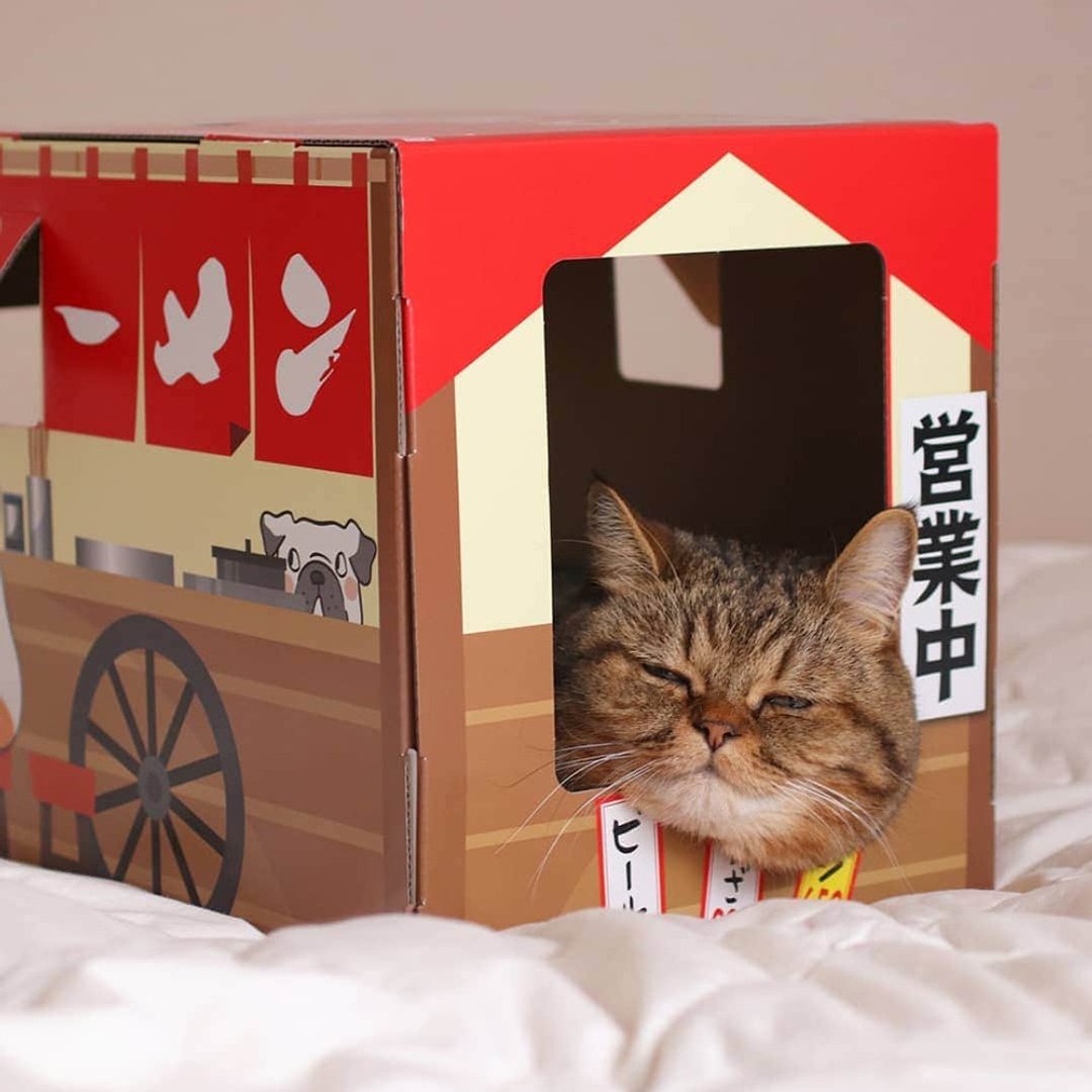 【日本CattyMan】猫屋折叠游玩箱-拉面屋 - 玩具 - 其他金属 