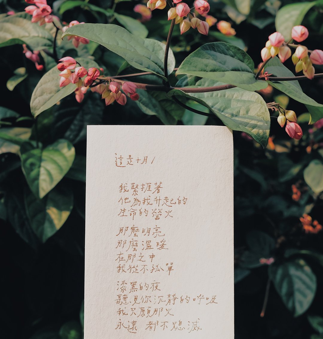 荒凉手记。这是十月 文字明信片 青青的岛 - 卡片/明信片 - 纸 