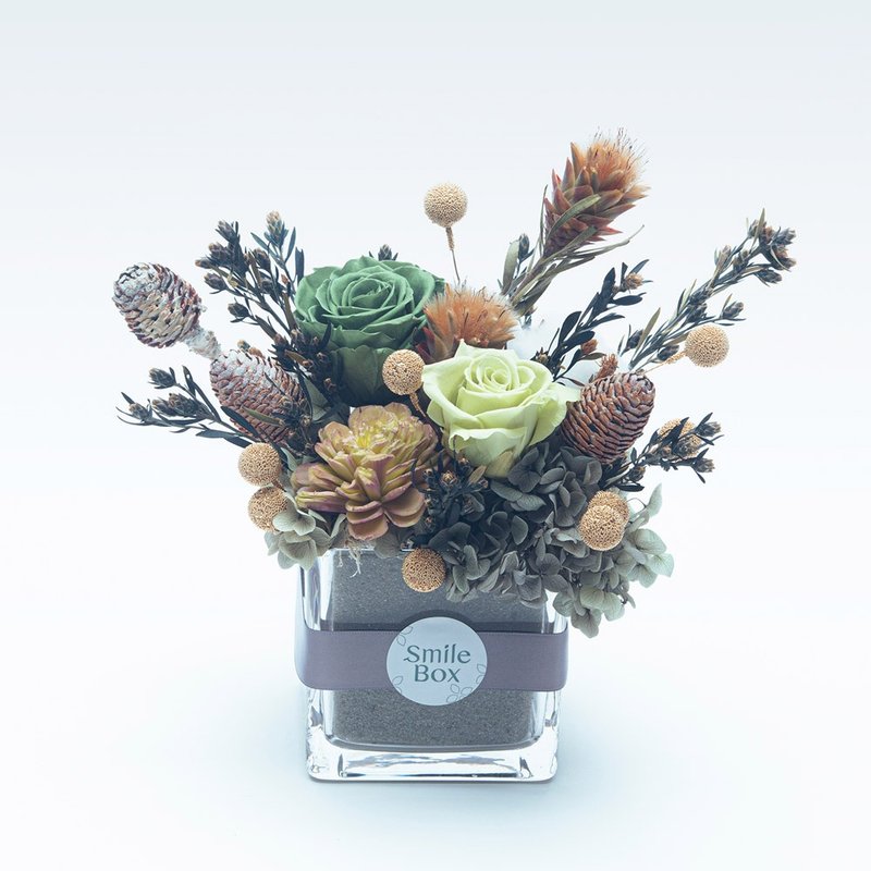 微光森林 柔雾绿 圣诞节  交换礼物 圣诞布置 生日礼物 永生玫瑰 - 干燥花/捧花 - 植物．花 