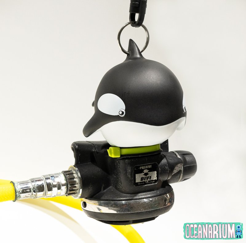 虎鲸备用调节器保护套(潜水) - 运动配件 - 乳胶 黑色