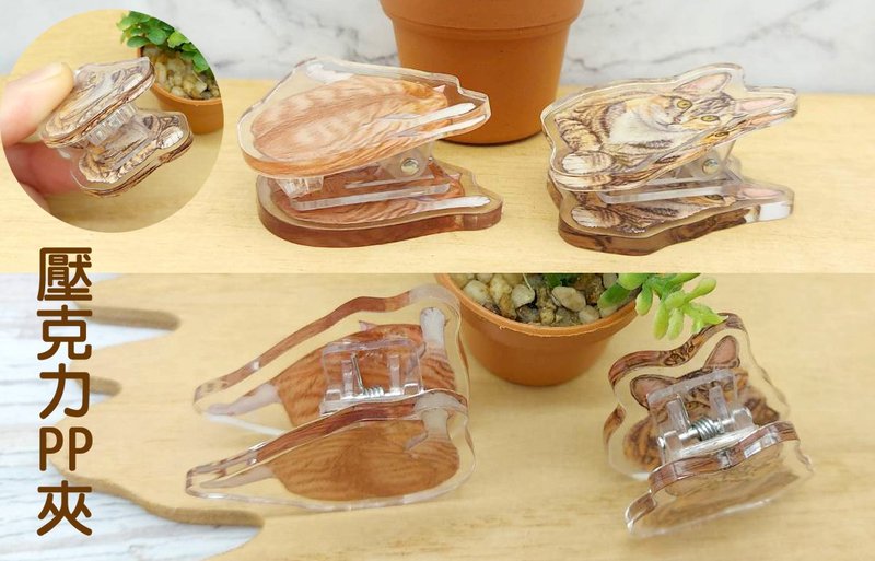 4CM单层透明压克力PP夹(猫咪款) - 其他 - 压克力 