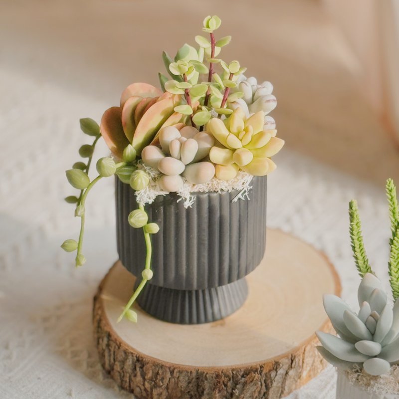 【日系礼物】多肉花园(竖纹款-黑色).手作黏土多肉植物.附提袋 - 摆饰 - 粘土 多色