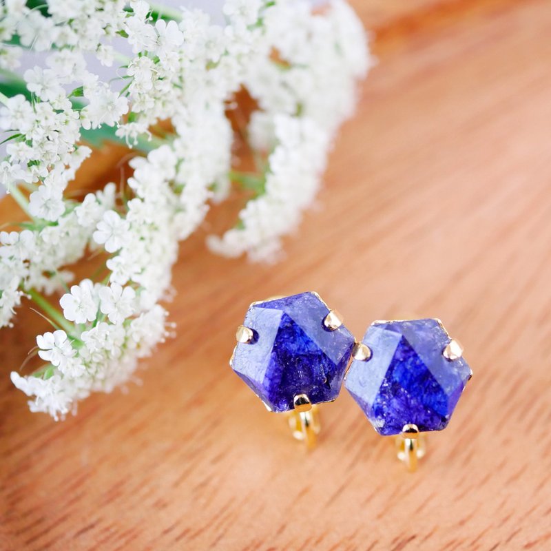 翠雀花 蜂巢/耳环 - 耳环/耳夹 - 树脂 蓝色