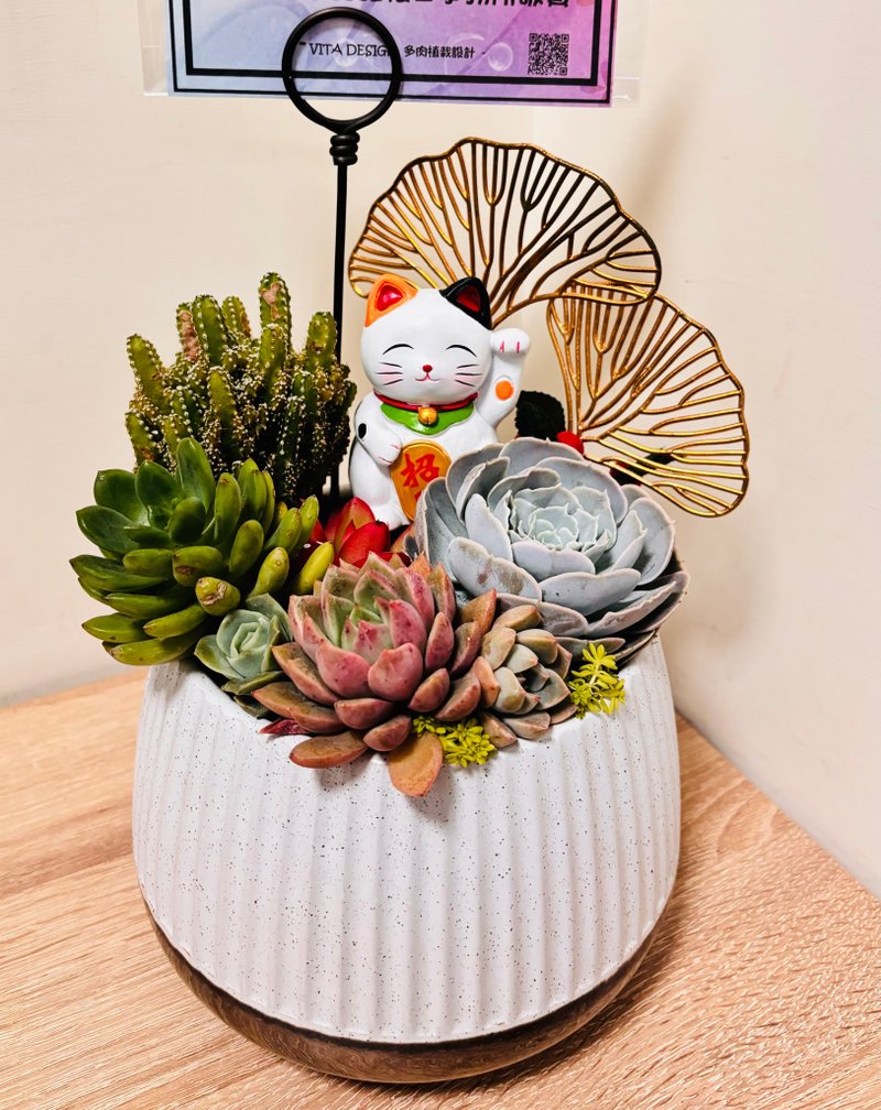 金边素雅定制组盆(小) 开幕志庆 新居落成 升官乔迁 婚礼 生日礼 - 植栽/盆栽 - 其他材质 白色