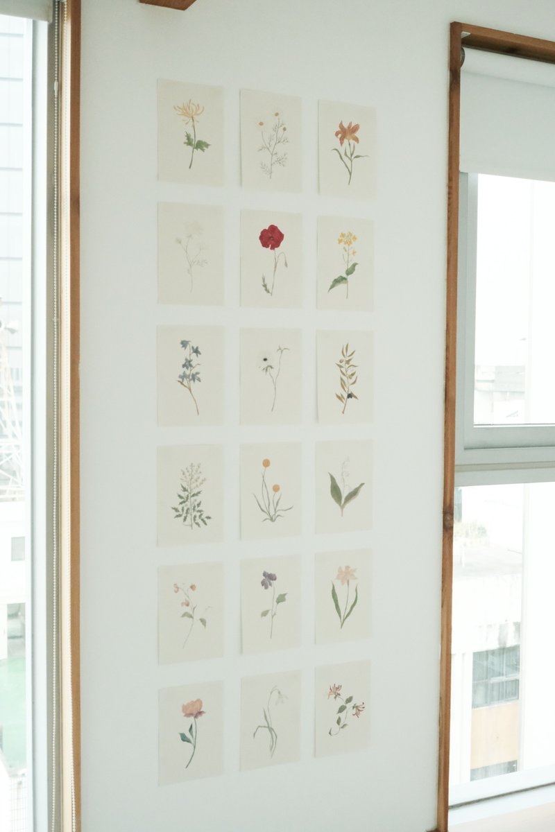 植物插画海报 A4 / A5 print - 海报/装饰画/版画 - 纸 