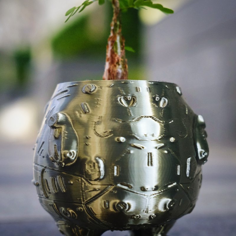 【肥蛋金刚】3d盆器 块根盆 多肉盆 3d打印 白马城 象牙宫 盆 - 植栽/盆栽 - 塑料 