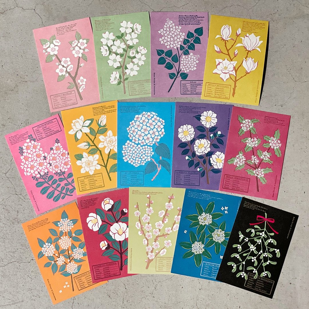 白色花卉明信片 / 铅字印刷 - 卡片/明信片 - 纸 多色