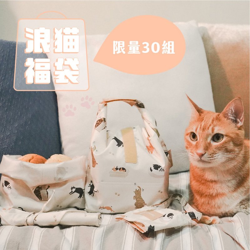 【猫之日】猫奴必败不塑超值组 - 便当盒/饭盒 - 聚酯纤维 橘色