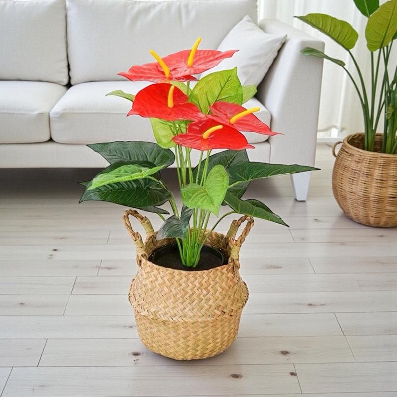 财源滚滚旺财火鹤花仿真植栽 - 摆饰 - 塑料 绿色