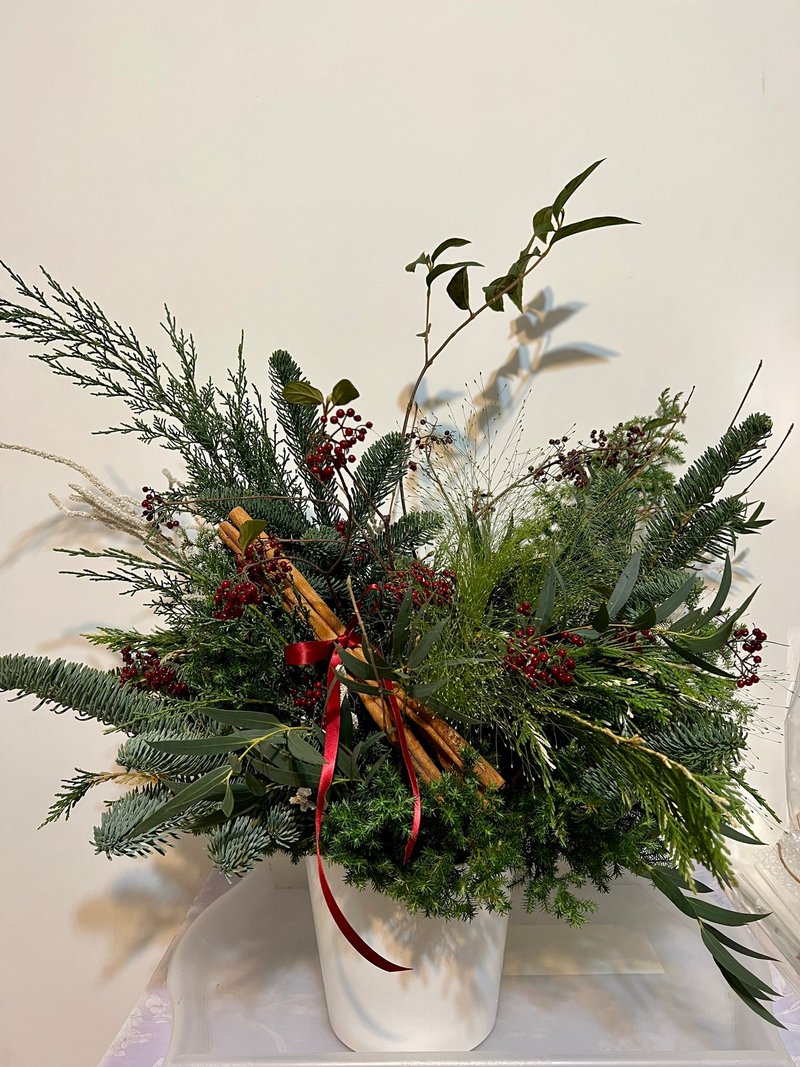 Sarah House定制红色圣诞红+银叶菊植栽盆花2盆 - 植栽/盆栽 - 植物．花 