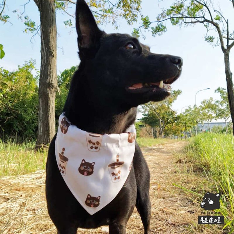 腿库力量宠物领巾-波霸奶茶 台湾制 台湾原创设计 宠物小孩亲子装 - 衣/帽 - 棉．麻 白色