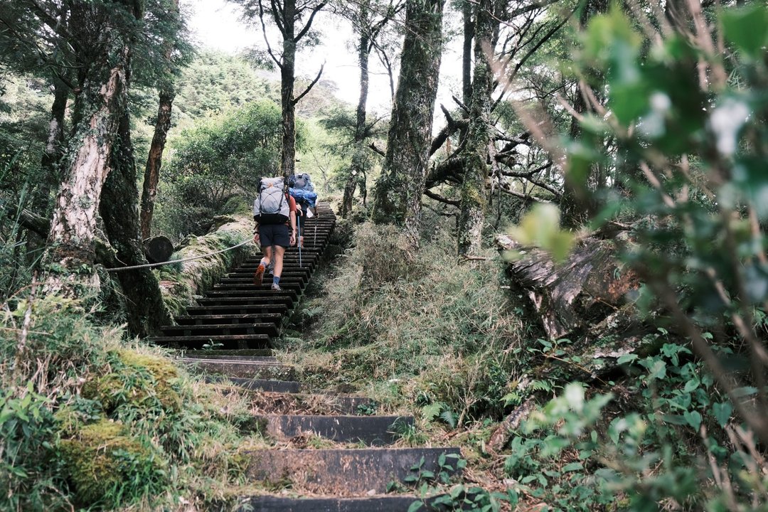 【南横三星】入门・孤傲百岳・两天一夜 - 深度旅游 - 其他材质 