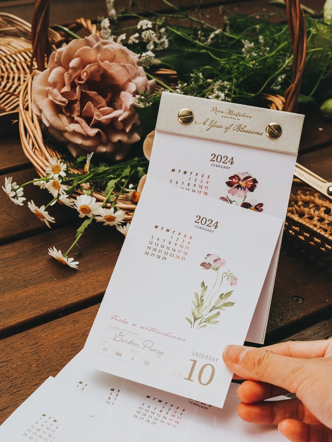2024 花开的样子水彩植物366可撕日历 - 年历/台历 - 纸 