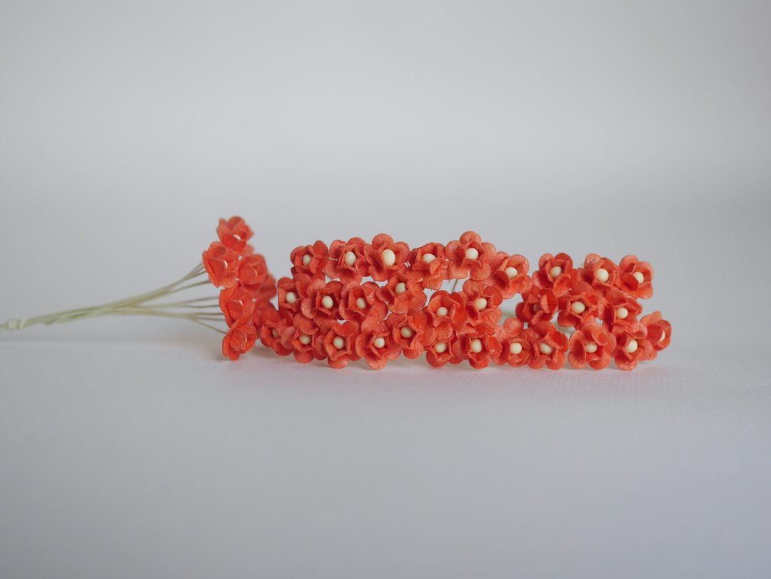 纸花，婚礼，10​​0 件。 DIY绣球花用品，1.0厘米。橘色. - 木工/竹艺/纸艺 - 纸 红色