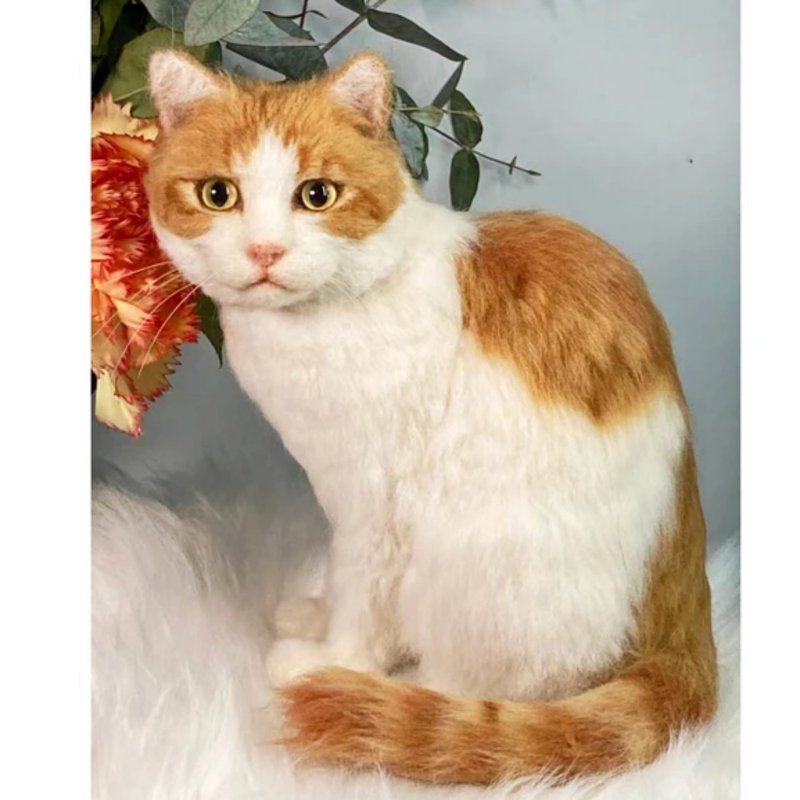 定制化礼物 逼真猫猫 羊毛毡 毛孩 宠物 娃娃 猫咪猫奴 似颜绘 /6 - 玩具 - 羊毛 多色