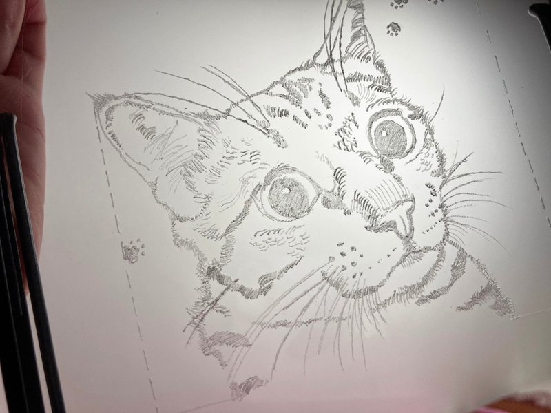 定制 雕刻画 宠物猫猫 含包装 创意礼物 - 订制画像 - 塑料 