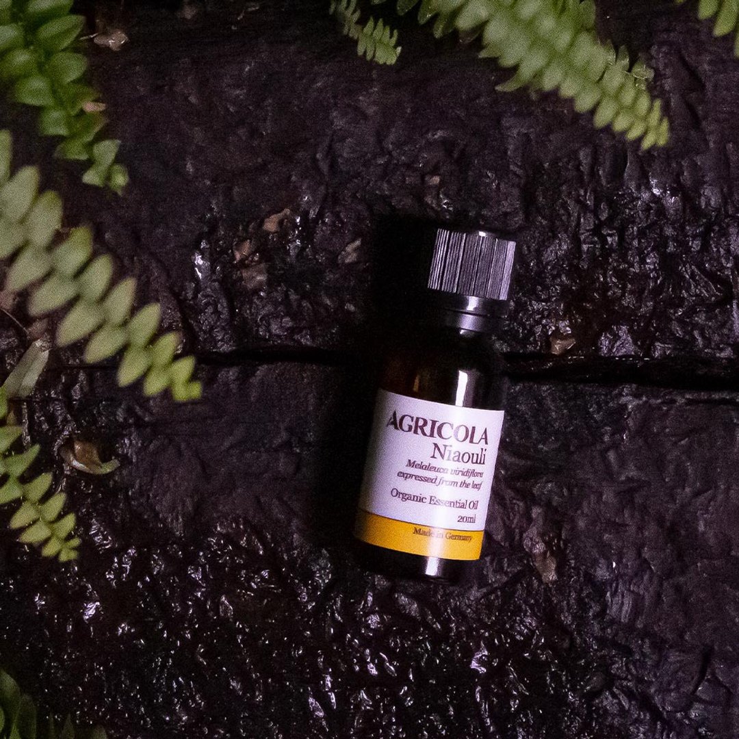 有机绿花白千层精油 - 德国原装进口 纯植物萃取天然扩香 - 香薰/精油/线香 - 精油 黄色