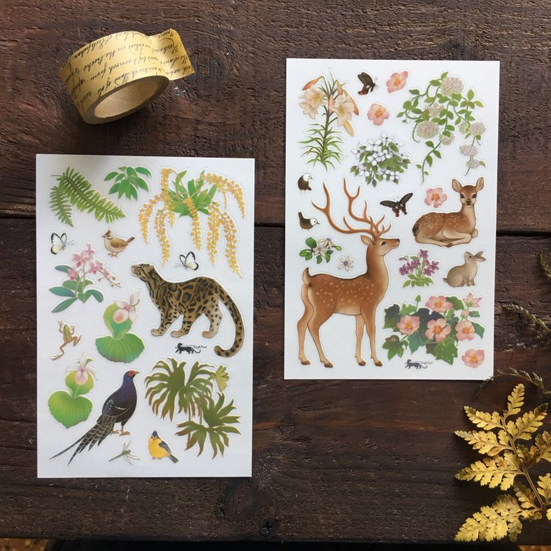 【台湾物种插画图鉴感压贴纸】云豹/梅花鹿/手帐 - 贴纸 - 纸 