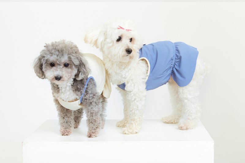 Urban系列 宠物弹力吊带裙 - 衣/帽 - 其他人造纤维 多色